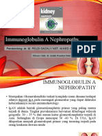 Immunoglobulin A Nephropathy: Pembimbing: Dr. M. FELDI GAZALY NST, M.KED (PD), SP - PD, K-GH