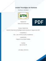 Tarea Individual 2 - Dirección Financiera - Ensayo - Gestión Financiera Estratégica para Impulsar El Negocio en 2021