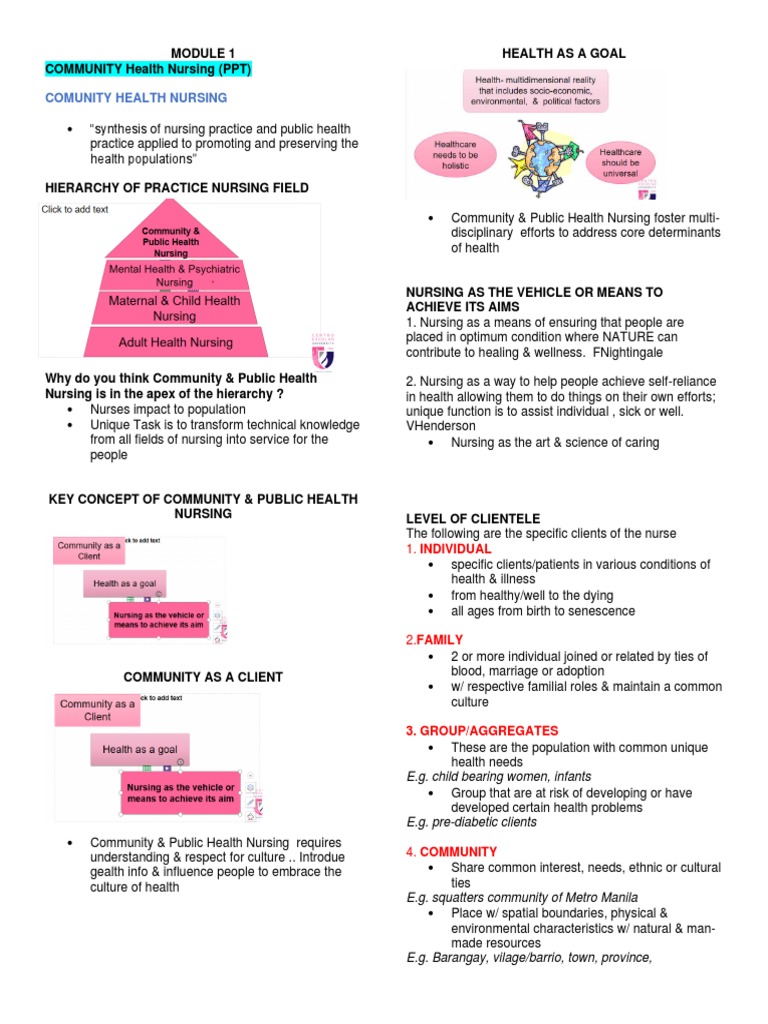 Community Health Nursing Overview | PDF | Interview | Nursing