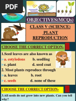 Class 5 Science: Growing Plants Guide | PDF | Seed | Germination