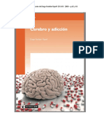 Cerebro y Adicción - Dos Paginas para Ver Planimetria y Embriología