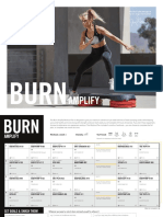 Gottschall's Burn Amplify Workout Plan