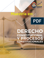 Derecho Constitucional