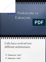 Prokaryote Vs Eukaryote