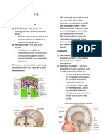 MENINGES