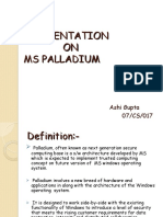 Presentation Ms Paladium
