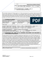 Documentación Descriptiva FPJ 9