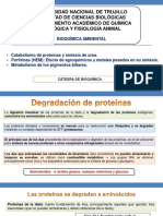 S11. Metabolismo de Proteinas-Hem-Nucleótidos