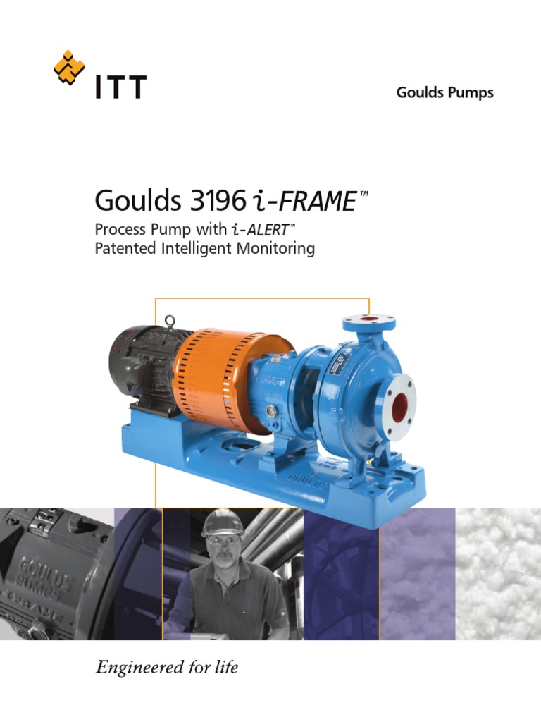 Goulds 3196: Process Pump With Patented Intelligent Monitoring | PDF ...