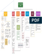 Mapa Conceptual 7