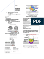 Skeletal System 