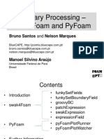 Auxiliary Processing - Swak4Foam and Pyfoam: Bruno Santos and Nelson Marques