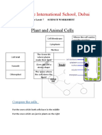 Day-2 Plant and Animal Cells - Worksheet