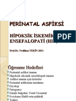 Perinatal Asfiksi Ders-2013