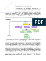 Informe Ejecutivo-Ricolacteos