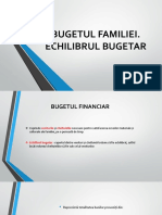 Bugetul Familiei. Echilibrul Bugetar