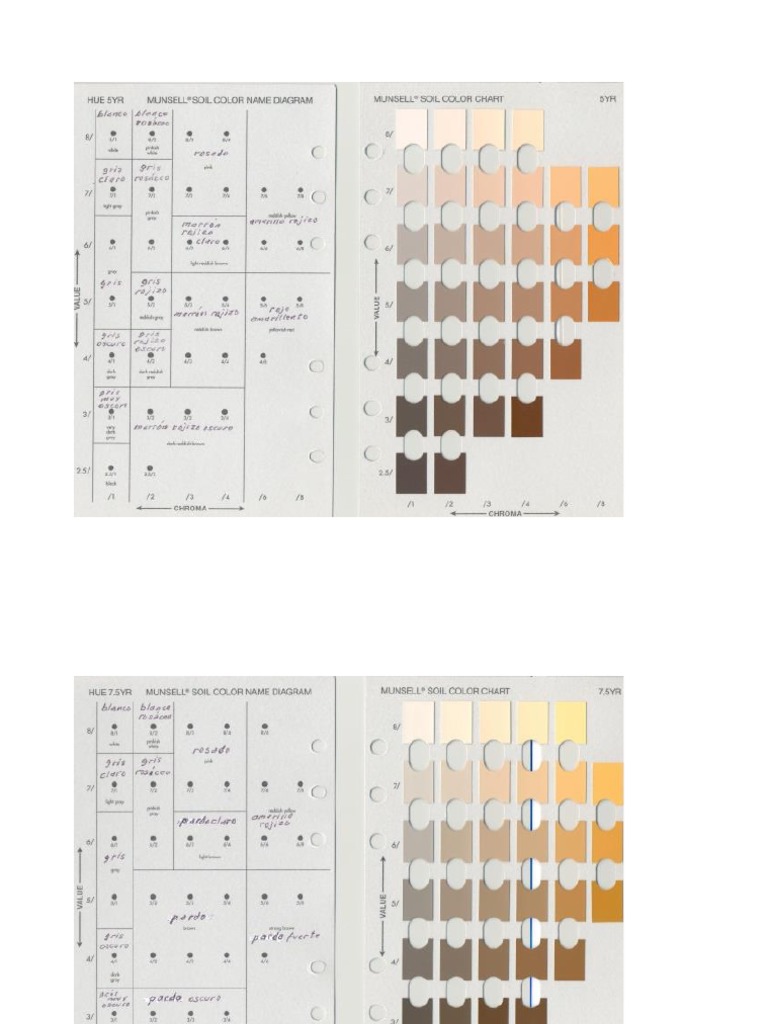 Munssell Color | PDF