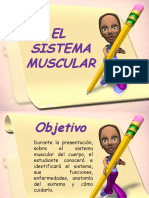 Presentacion Sistema Muscular