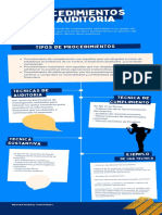 Procedimientos de Auditoria - Brayan Rueda