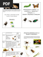 Preparados Caseros-Apunte