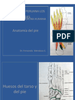 PDF 41 Aparato Hyrax DD