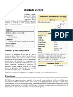 Adenosín Monofosfato Cíclico