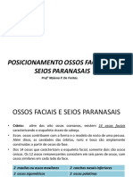 Ossos Faciais 14 Posições