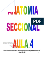 Anatomia Seccional Aula 4