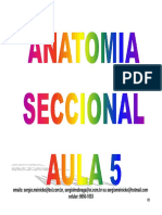 Anatomia Seccional Aula 5