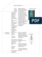 Cuadro Comparativo de Sistema Muscular y Sistema Oseo Valentina