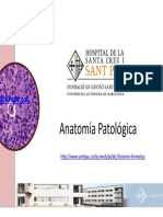Maqueta Anatomía Patológica