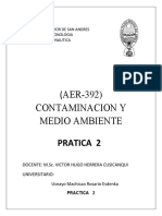 CONTAMINACION Y MEDIO AMBIENTE Esdenka Usnayo