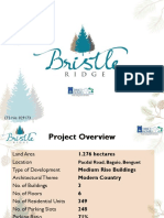 BSR Bristle Project Brief August 2015