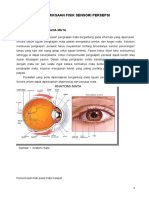 pemeriksaan persepsi sensori