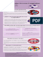 NEUTROPENIAS Infografia