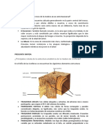 PREGUNTA RAPIDA y ABIERTAS