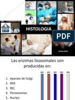 E1 Aqmed2013-I Histo