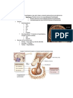 Endocrinology Supreme Essences