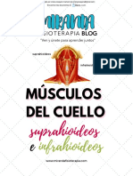 musculos_del_cuello_suprahioideos_e_infrahioideos