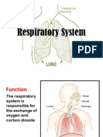 Anatomy And Physiology Of The Airway 1 Ppt Respiratory Tract Human Nose