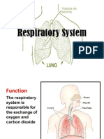 Respiratory System