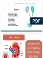 Determinacion de Perfil Renal