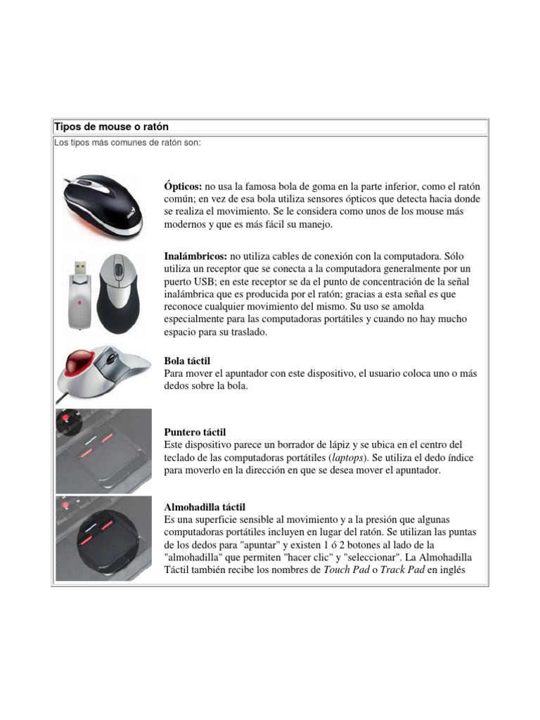 Rechazar Decrépito Orbita Tipos de Mouse | PDF