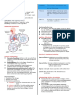 Respiratory Physiology: Ventilation Perfusion Diffusion