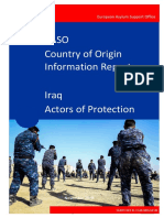Iraq Actors of Protection 2018