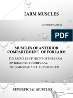 Forearm Muscles: Sathishkumar G