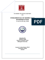 Fundamentals of Seismic Interpretation Report