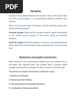 Synapses: Mechanism of Synaptic Transmission