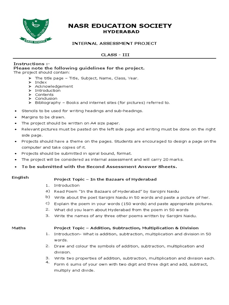 Class 3 Project Guidelines and Topics | PDF | Art