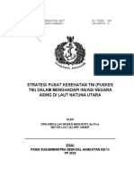 STRATEGI PUSKES TNI DI LAUT NATUNA